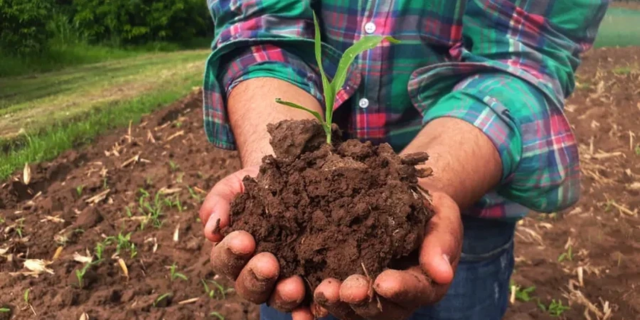 Illustrative image of Residual soil characterization in Arlington